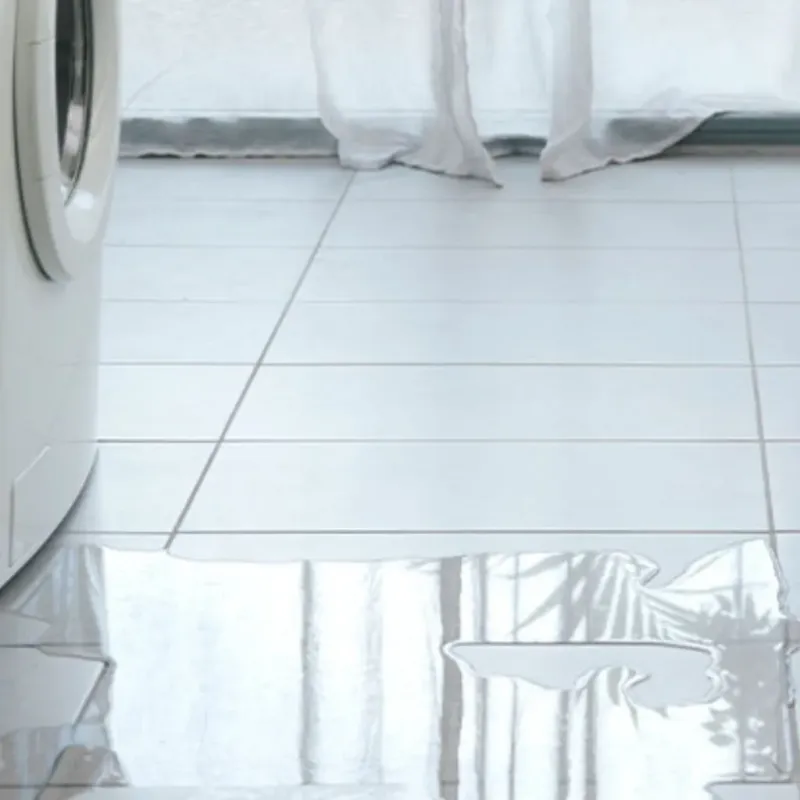 Appliance Leak Cleanup in Clover, SC