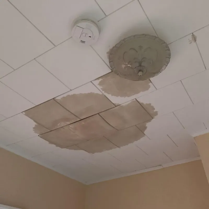 Ceiling Water Damage Repair in Clover, SC